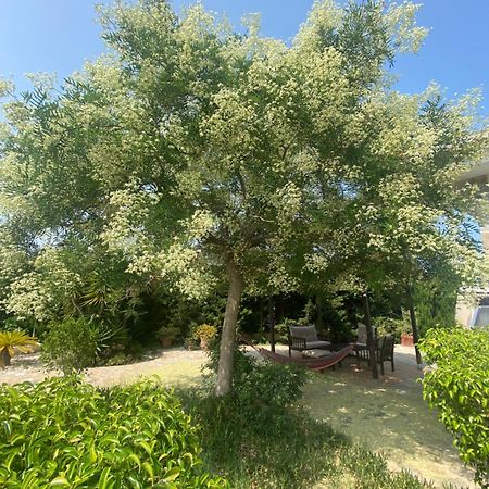 Casa Lusentum Villa Torrevieja Eksteriør billede